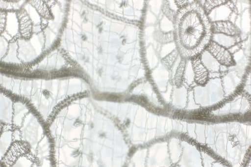 Premium Cotton Eyelet Lace 2